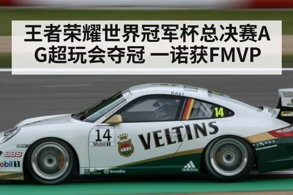 王者荣耀世界冠军杯总决赛AG超玩会夺冠 一诺获FMVP