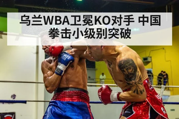 乌兰WBA卫冕KO对手 中国拳击小级别突破